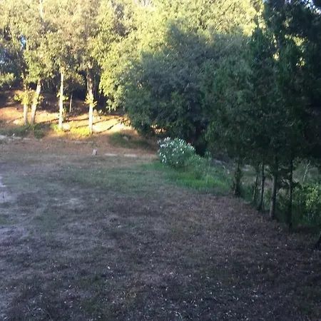 Finca Unifamiliar Sa Font